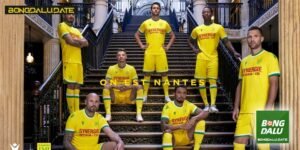 Giới thiệu tổng quan về FC Nantes